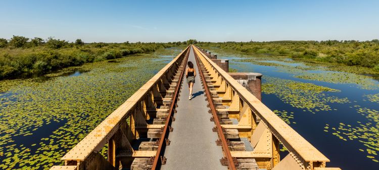 Dame wandelt op de Moerputtenbrug