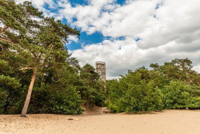Uitkijktoren Herperduin in de Maashorst