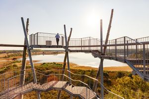 Man op d'n Flaestoren in Esbeek