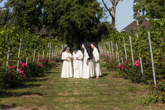Sint Catharinadal Wijnhuis de Blauwe Camer