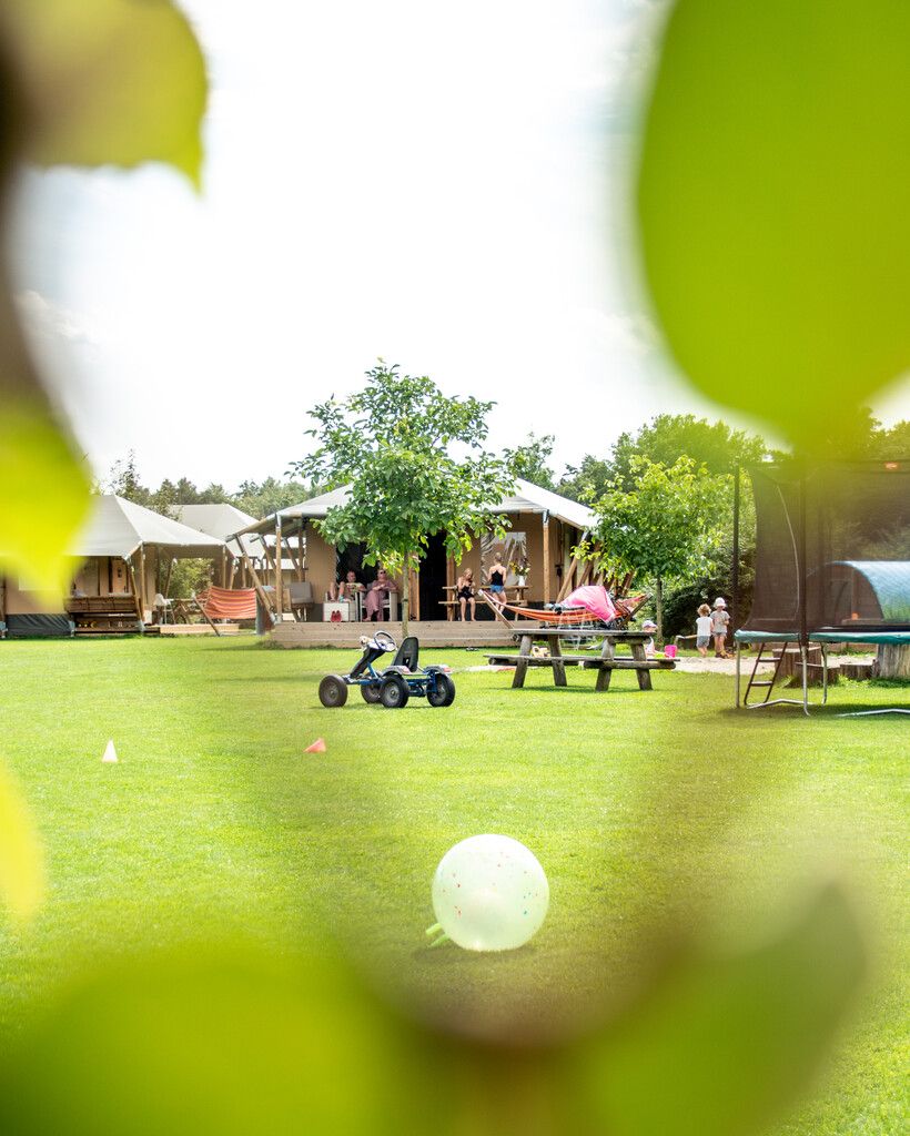 Glamping de Bosweide