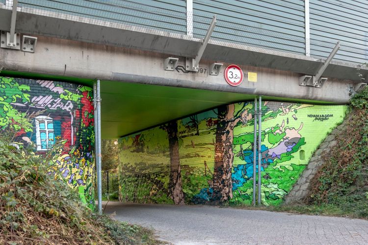 Een foto van de Van Gogh Mural in Eindhoven gemaakt door Julien Crevaels