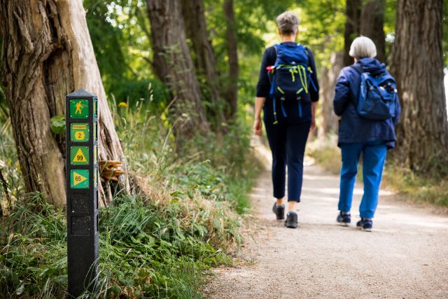 Twee wandelaars die langs een knooppunt lopen in een bos