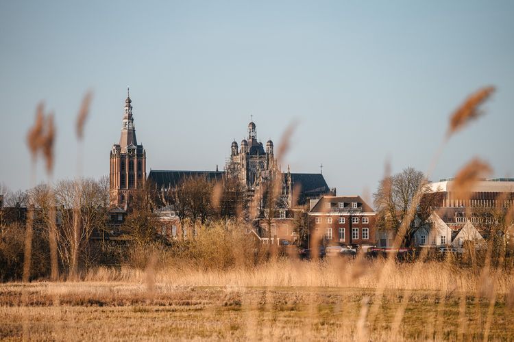 Sint Jan gezien vanuit Bossche Broek