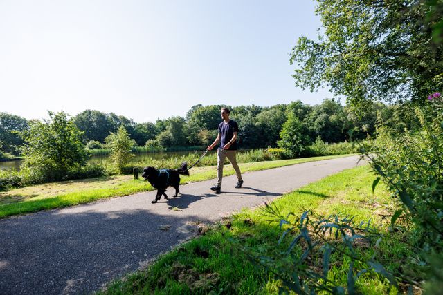 Groene Ster, recreatie, zomer