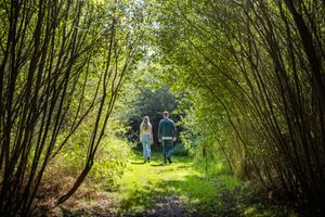 Stel wandelt de Van Gogh wandelroute in Nuenen
